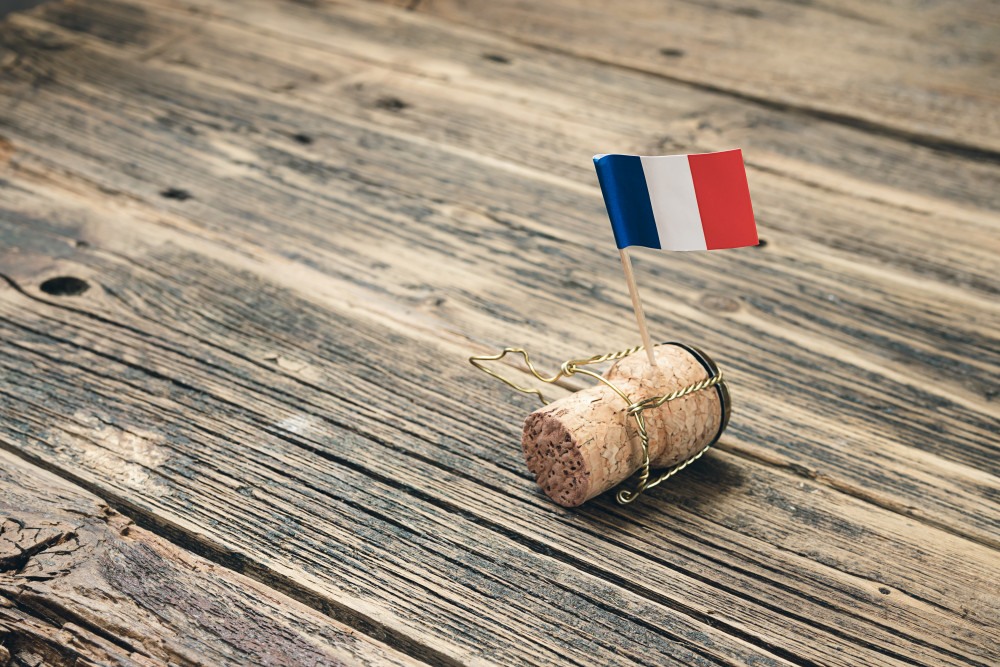 La demande de naturalisation française : un processus complexe et rigoureux